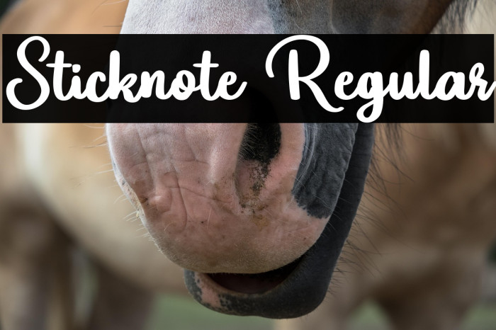 Sticknote Regular Example 3