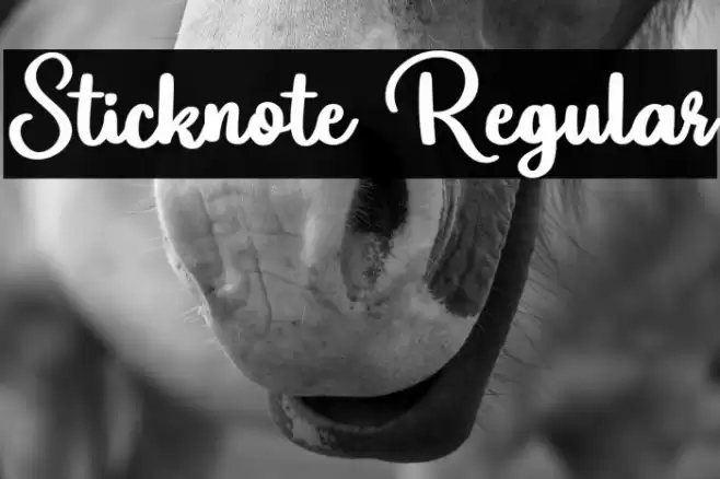 Sticknote Regular Font examples