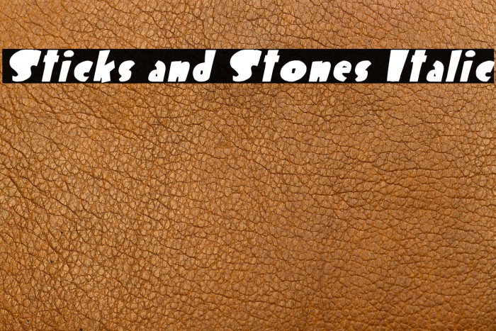Sticks and Stones Italic Example 2