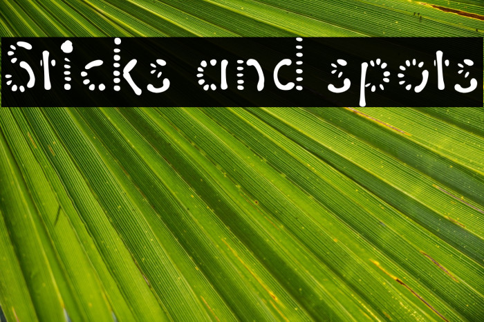 Sticks and spots Font examples