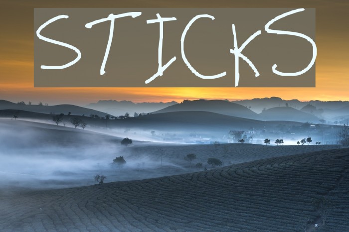 Sticks Example 2