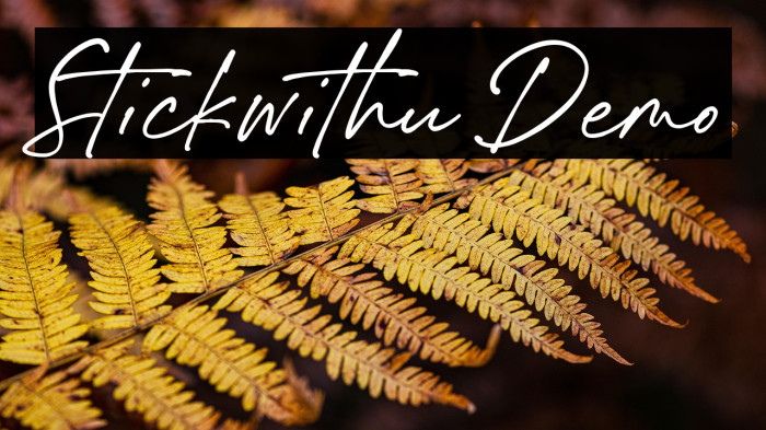 Stickwithu Demo Example 2