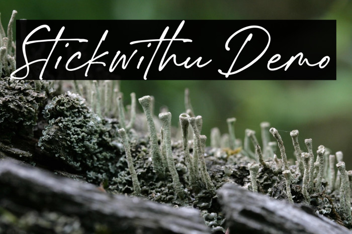 Stickwithu Demo Example 3