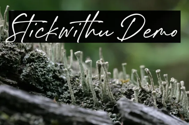 Stickwithu Demo Example 3