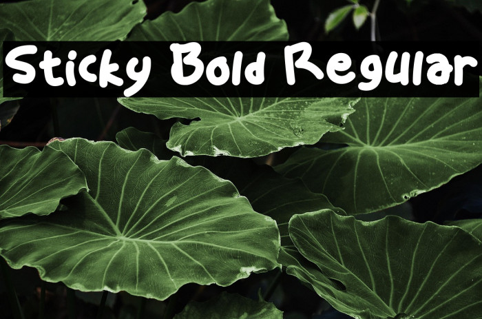 Sticky Bold Regular Example 2