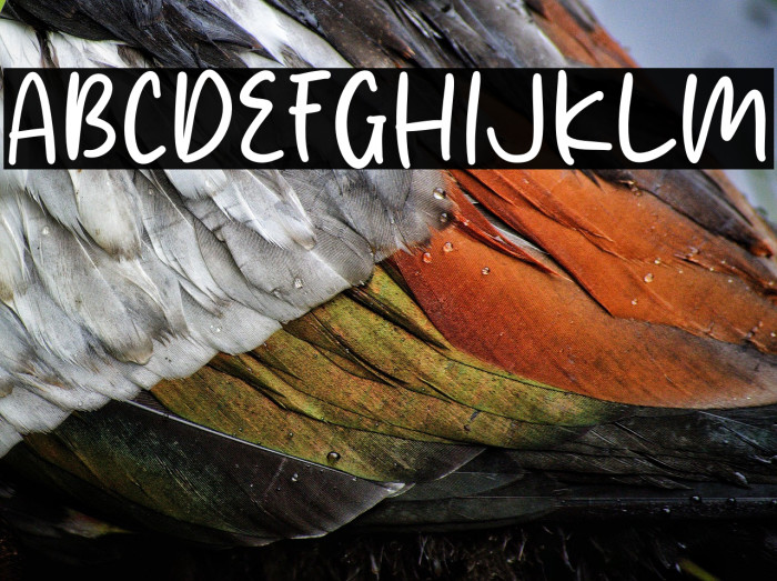 Sticky Chicken Example 1