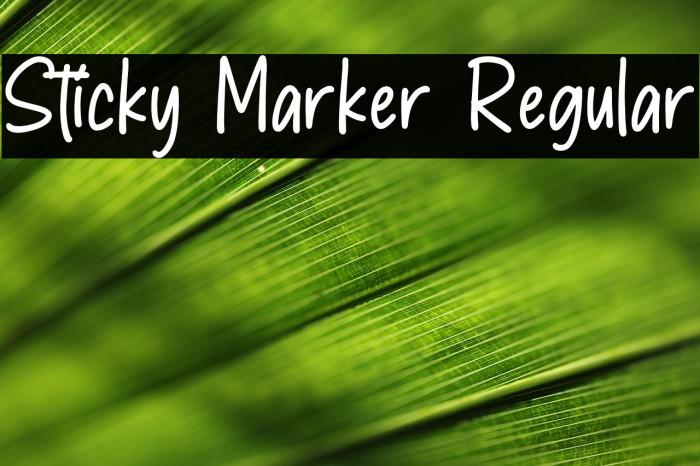 Sticky Marker Regular Example 2
