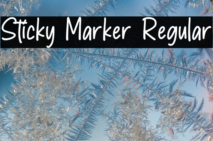 Sticky Marker Regular Example 3