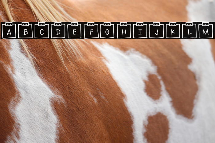 Sticky Memos Demo  Example 2