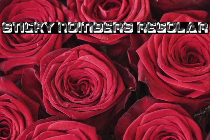 Sticky Numbers Regular Example 2