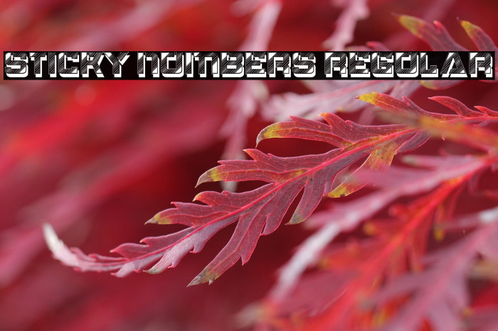 Sticky Numbers Regular Example 3