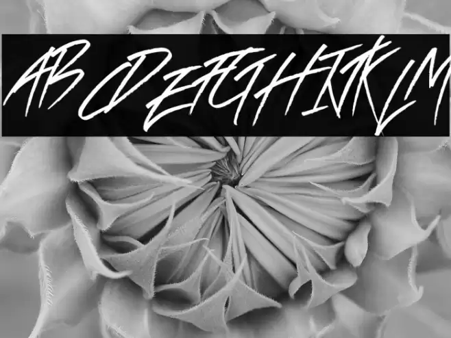 Sticky Pops Font examples