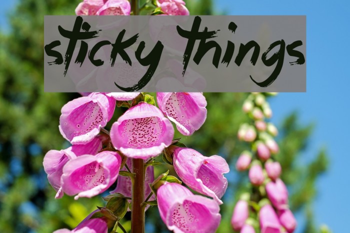 Sticky Things Font examples