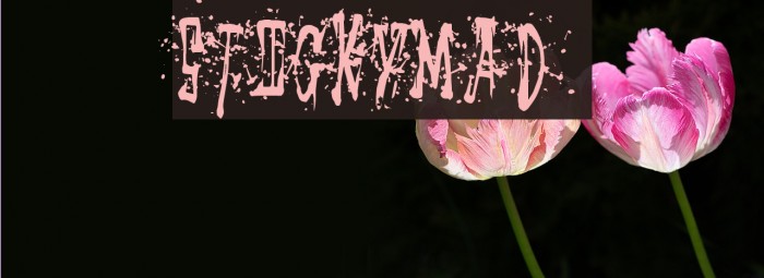 StickyMad Example 2