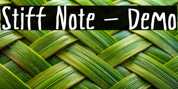 Stiff Note - Demo Example 1