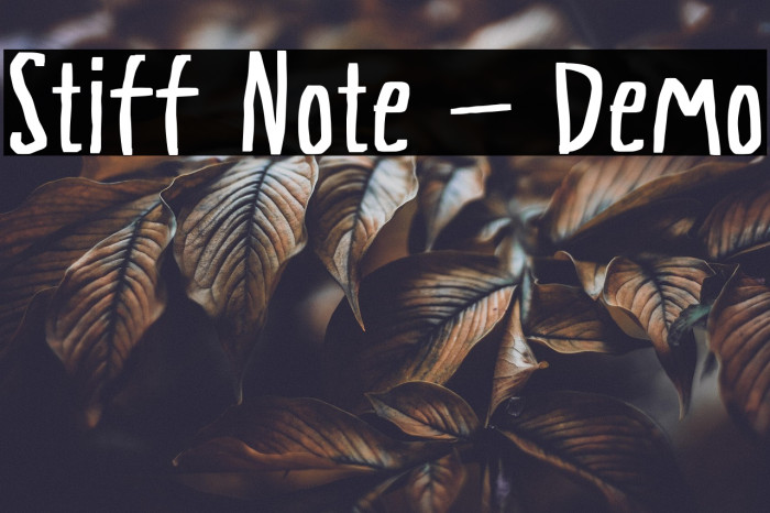 Stiff Note - Demo Example 2