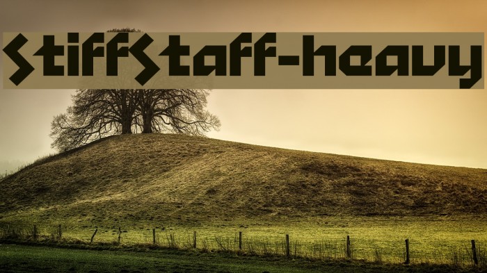 StiffStaff-Heavy Font examples