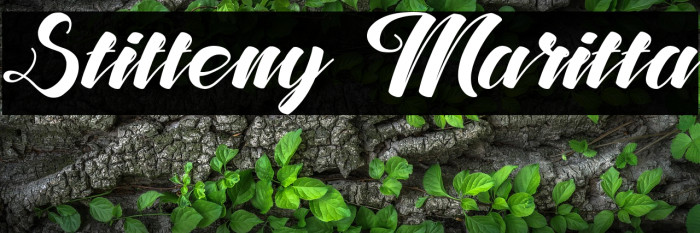 Stiffeny Maritta Example 2