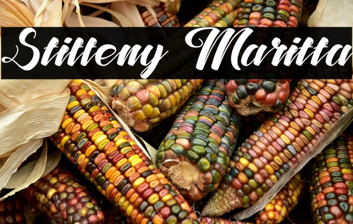 Stiffeny Maritta Example 3