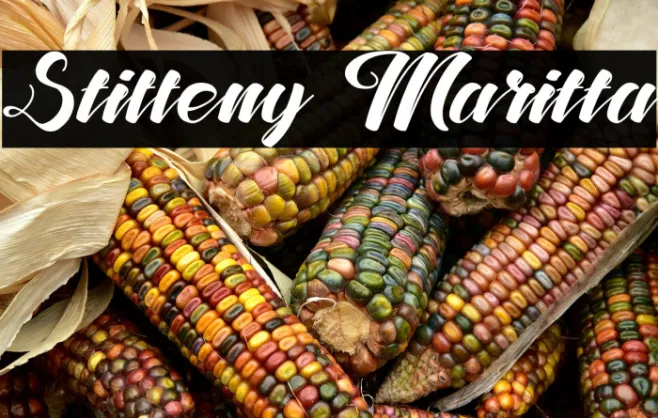 Stiffeny Maritta Example 3