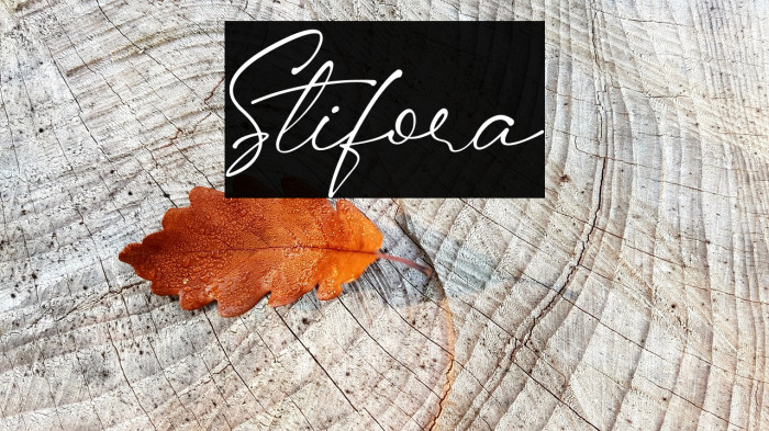 Stifora Font examples
