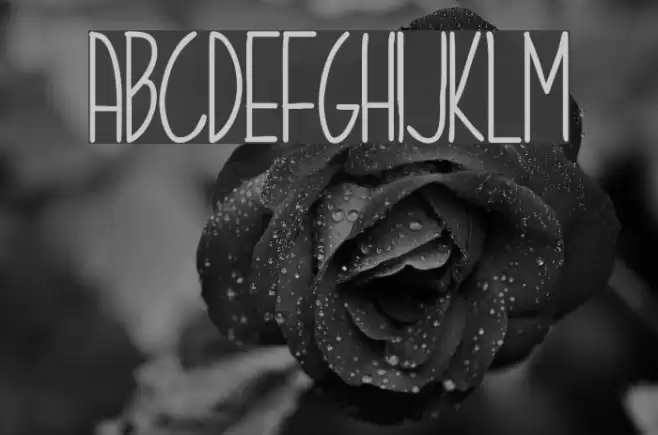 Stigmata Font examples