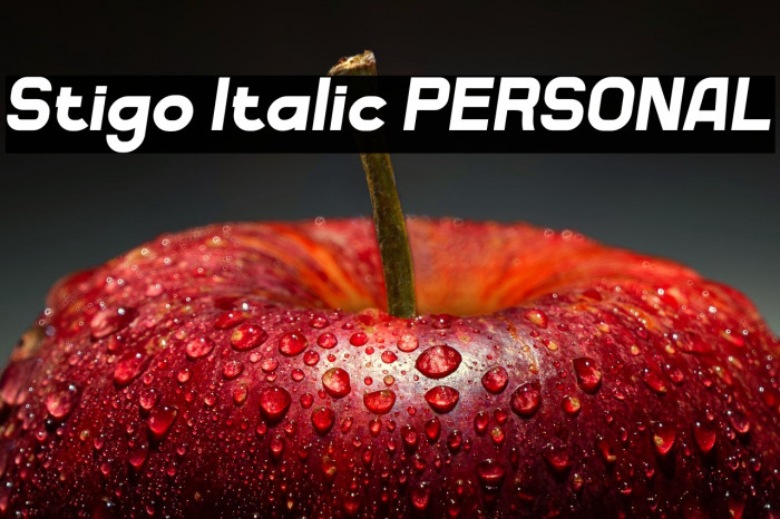 Stigo Italic PERSONAL Example 2