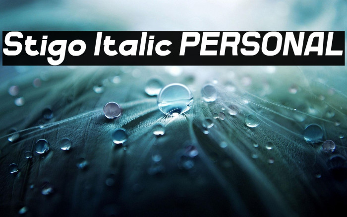 Stigo Italic PERSONAL Example 3