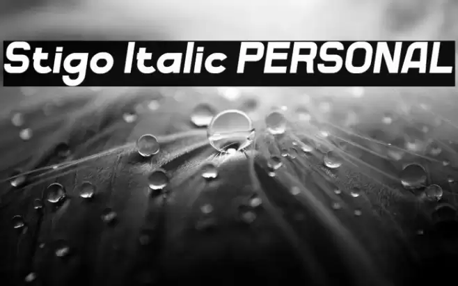 Stigo Italic PERSONAL Font examples