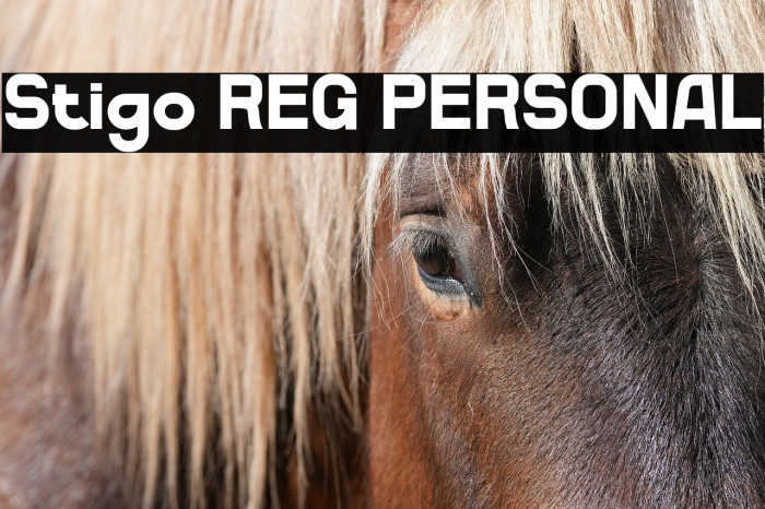 Stigo REG PERSONAL Example 1