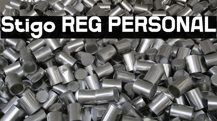 Stigo REG PERSONAL Example 2