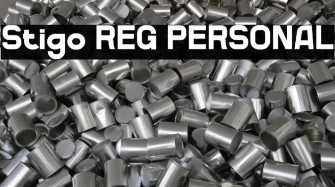 Stigo REG PERSONAL Example 2