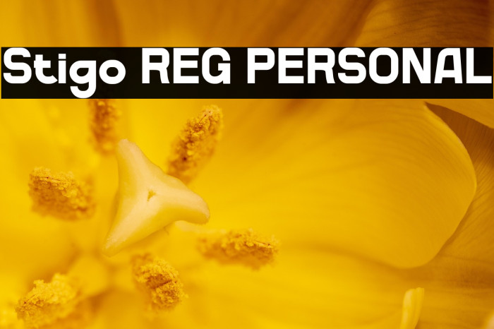 Stigo REG PERSONAL Example 3