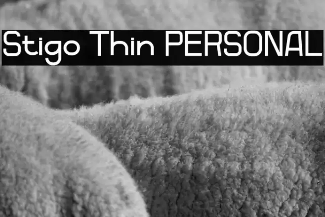 Stigo Thin PERSONAL Font examples