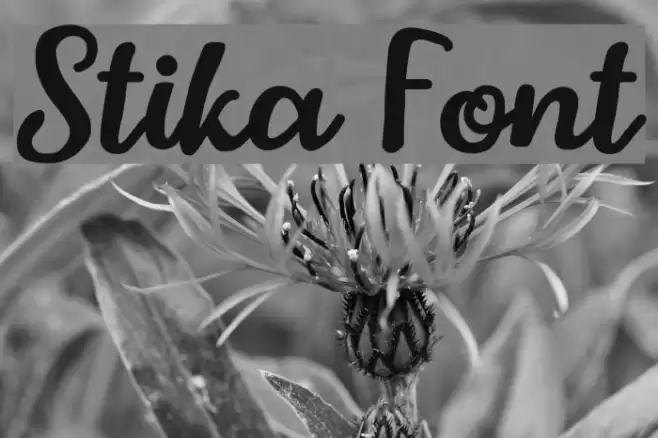 Stika Font examples