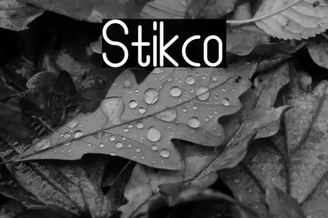 Stikco Font examples