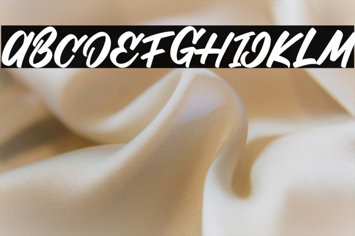 Stilda Script Regular Example 2