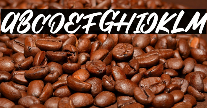 Stilda Script Regular Example 3