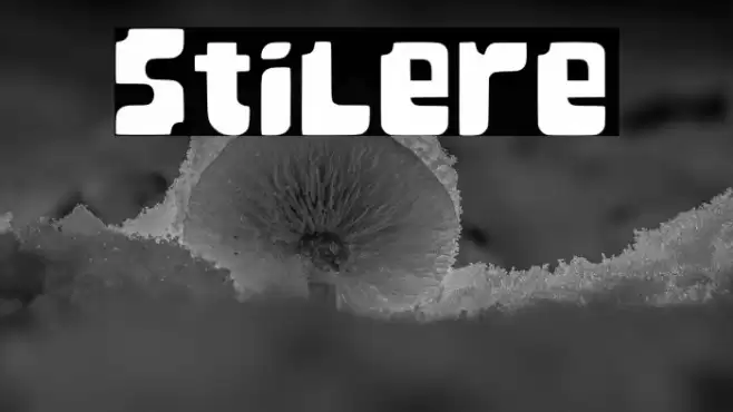 Stilere Font examples