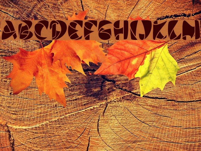 Stiletto Black Example 3