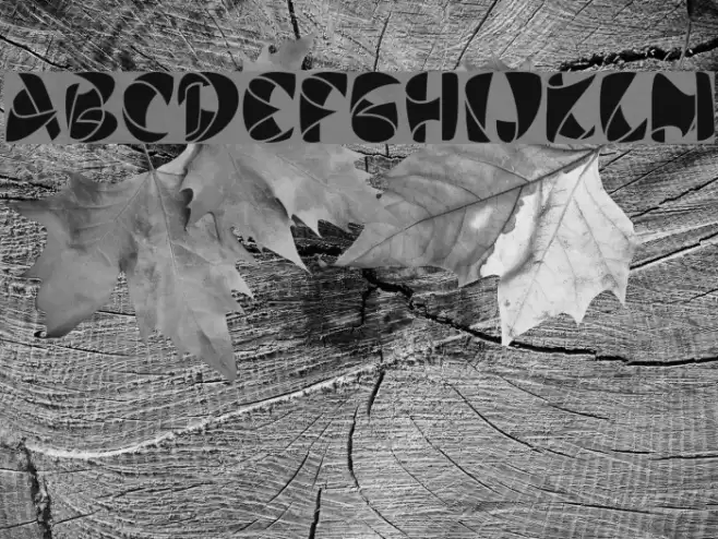 Stiletto Black Font examples