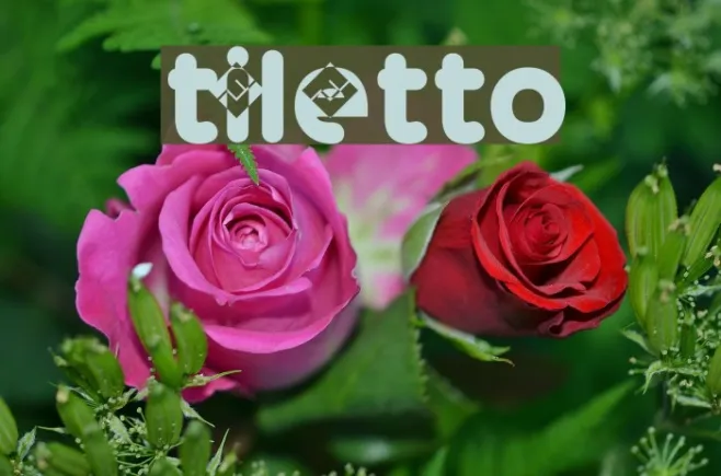 Stiletto Example 1