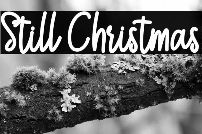 Still Christmas Schriftart examples
