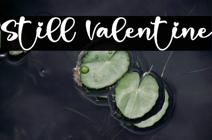 Still Valentine Example 3