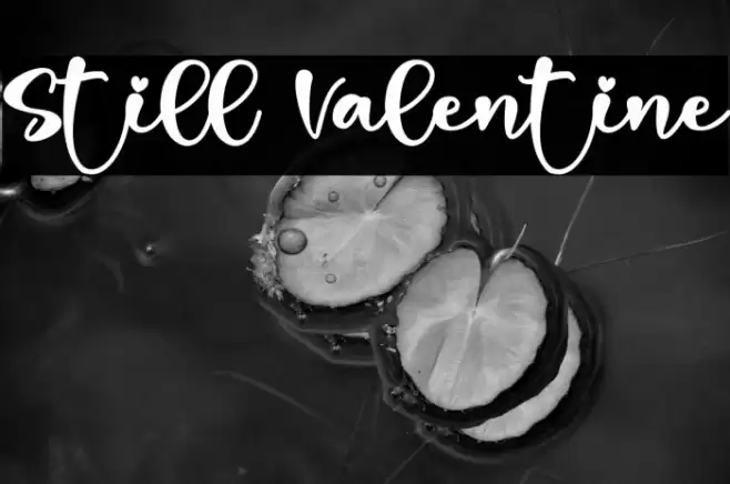 Still Valentine Font examples