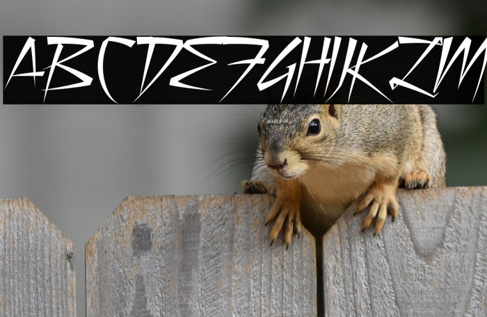 StillTime-Regular Example 3