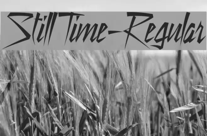 StillTime-Regular Font examples