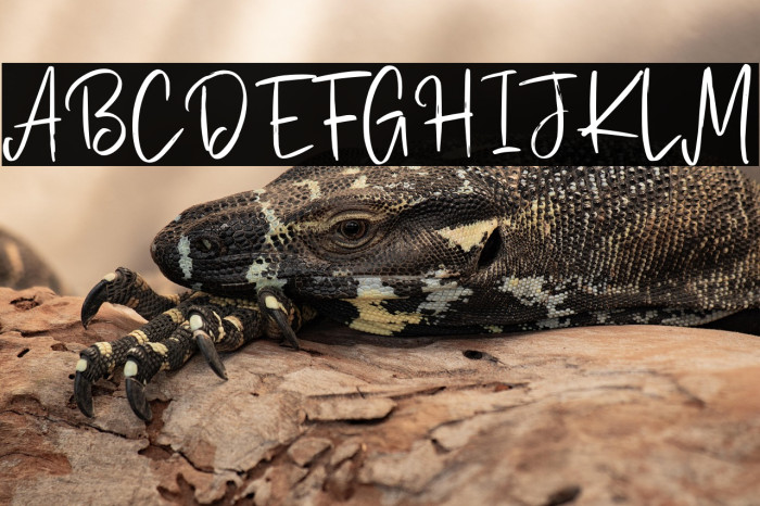 Stillovers Example 3