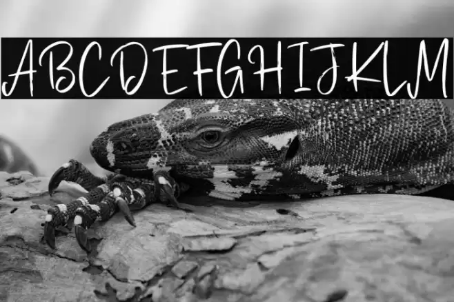 Stillovers Schriftart examples