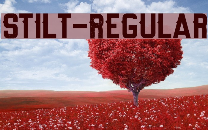 Stilt-Regular Font examples